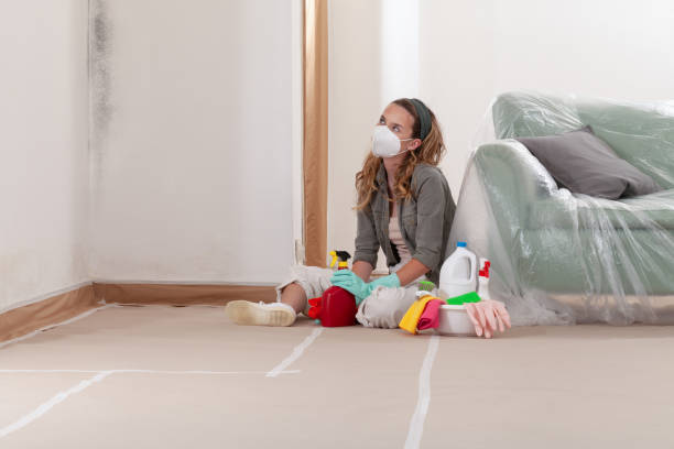Reliable Mold Removal contractor in Downers Grove, IL by WQB Mold Removal